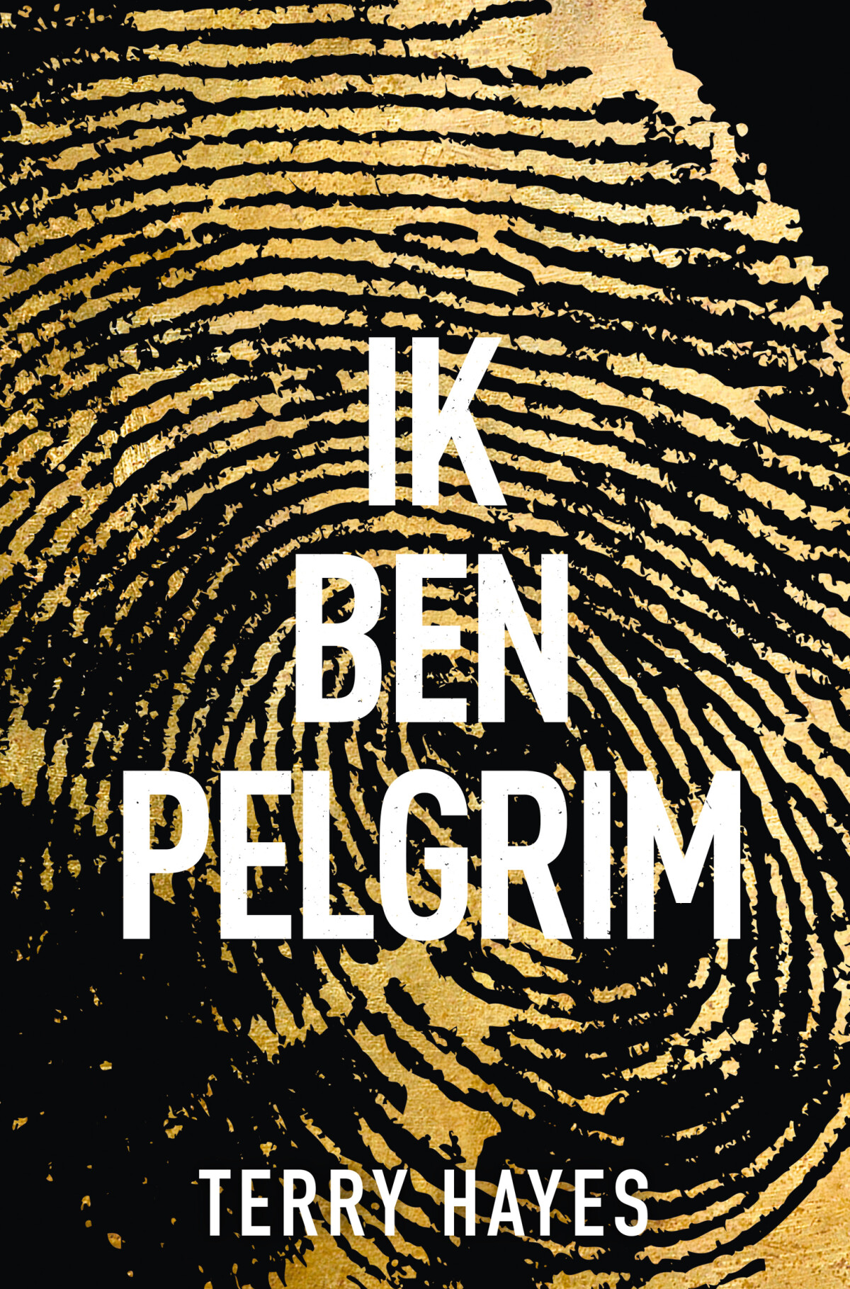 Terry Hayes - Ik ben Pelgrim