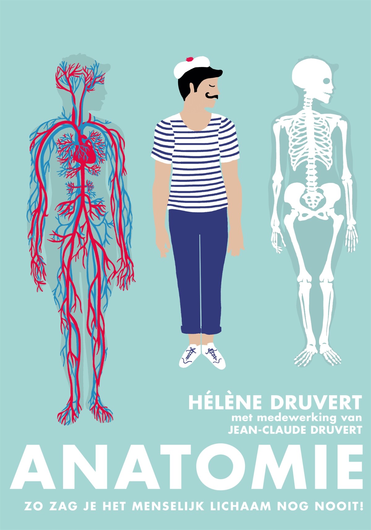Hélène Druvert - Anatomie