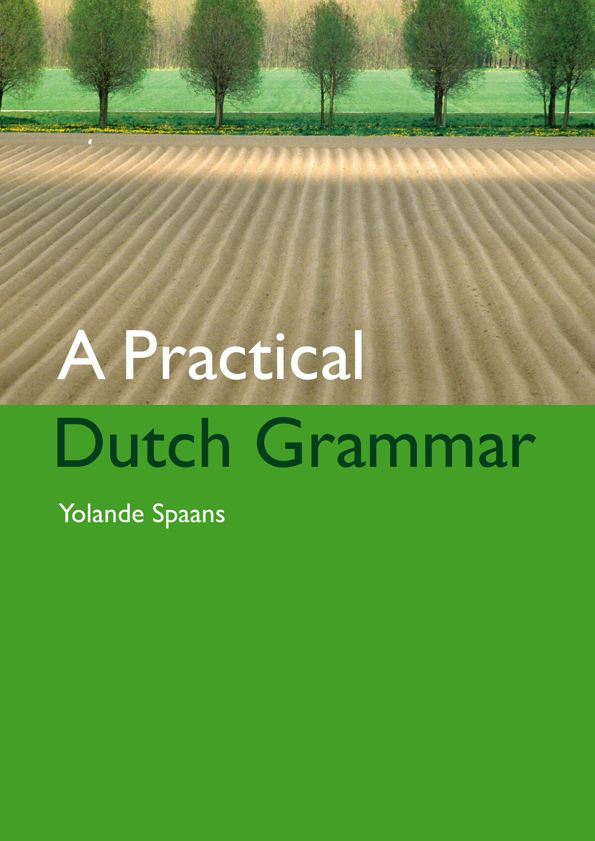 A practical Dutch grammar