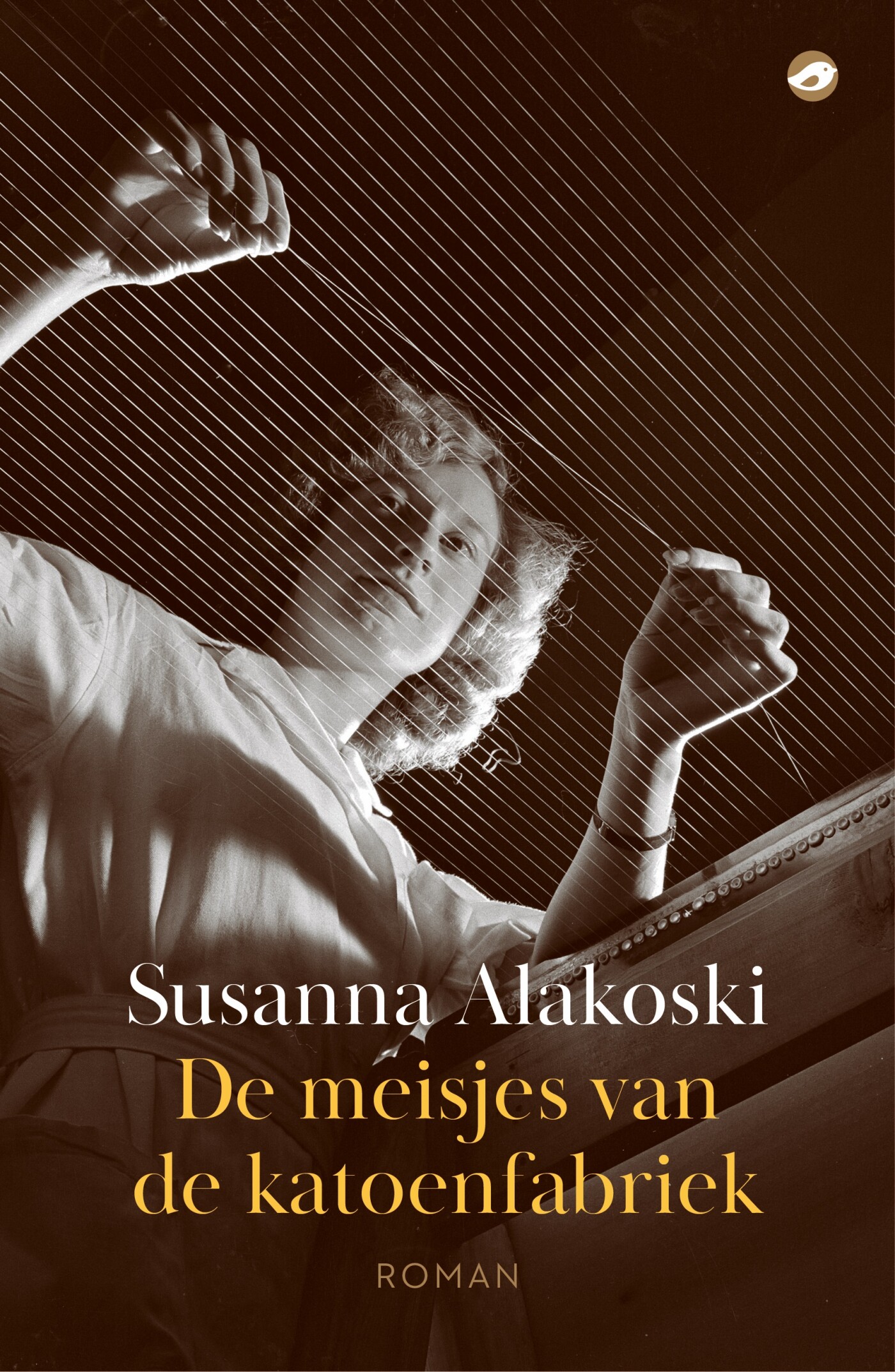De meisjes van de katoenfab...