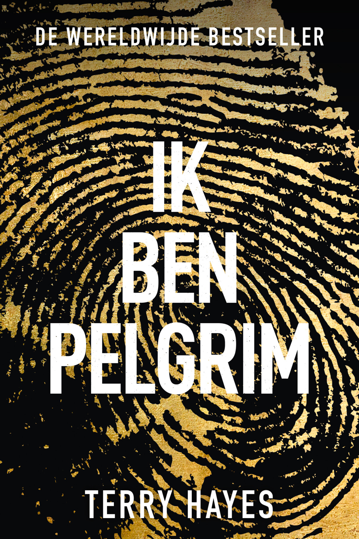 Terry Hayes - Ik ben pelgrim