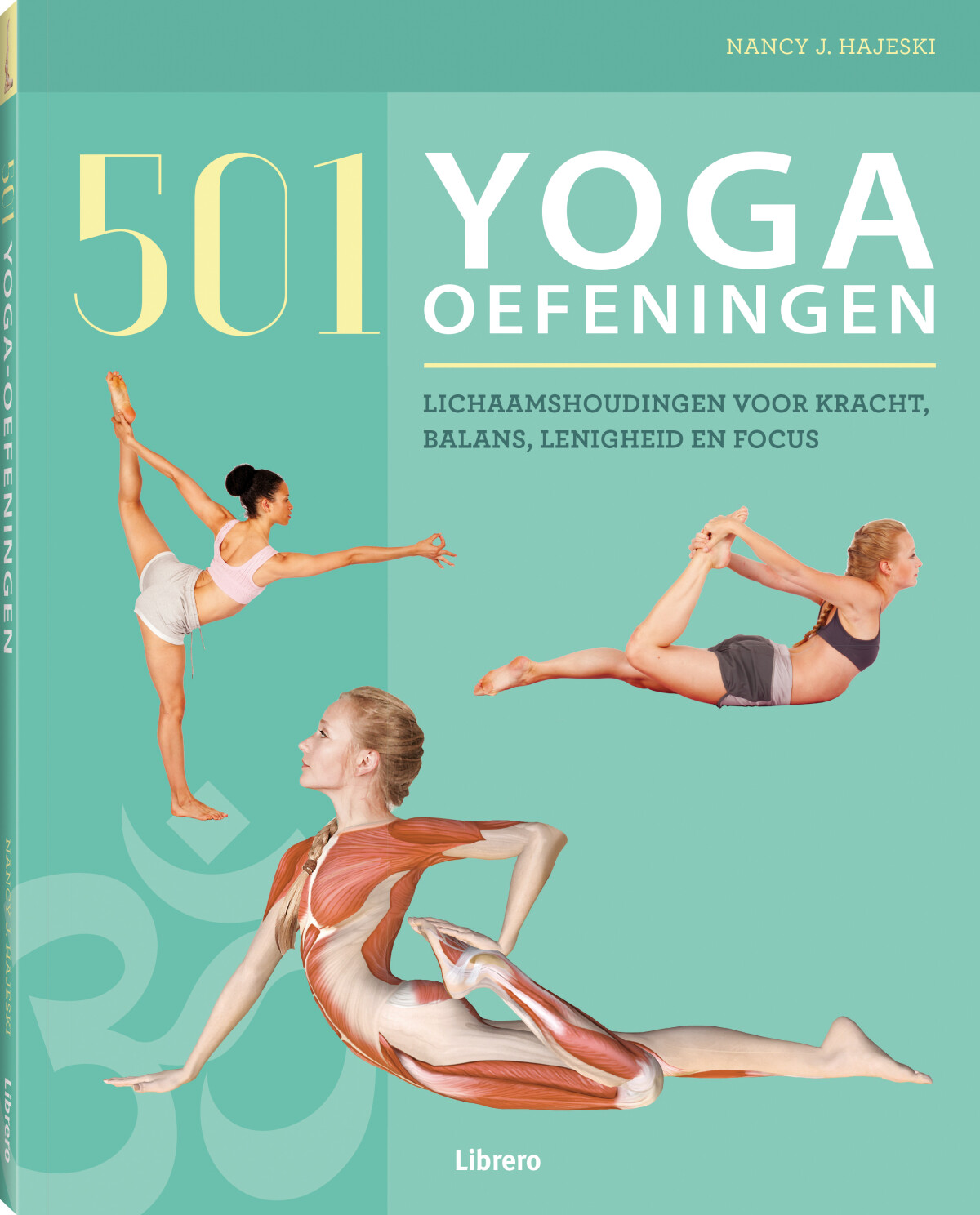 Naincy J. Hajeski - 501 Yoga-oefeningen
