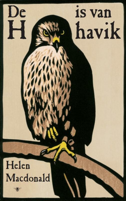 De h is van havik