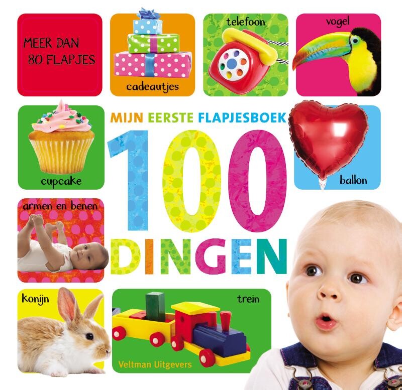  - 100 dingen / 100 dingen / Mijn eerste flapjesboek