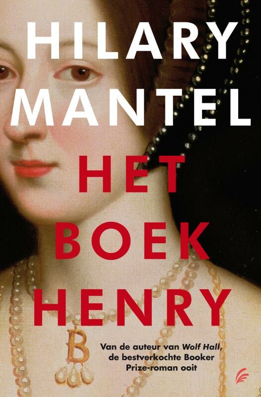 Het boek Henry / LJ Veen Kl...