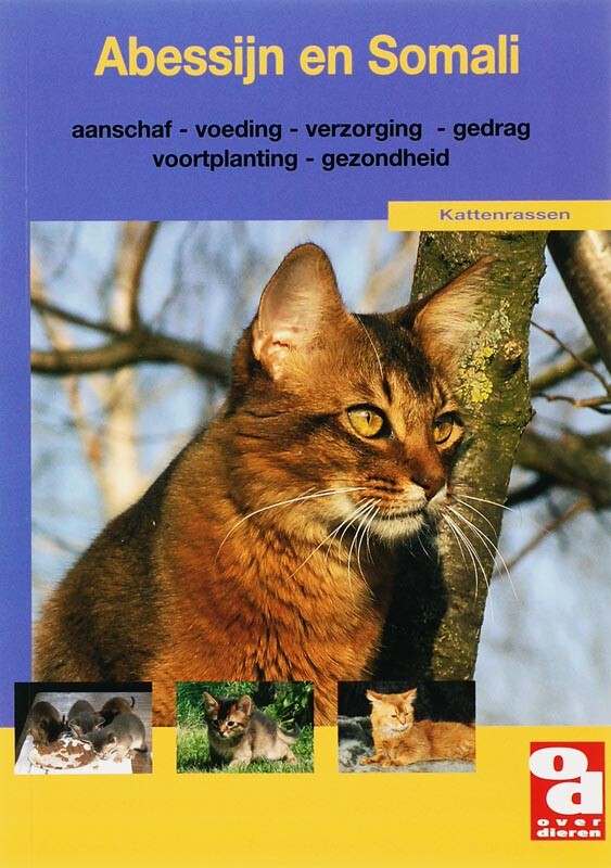  - Abessijn en Somali / Over Dieren / 175
