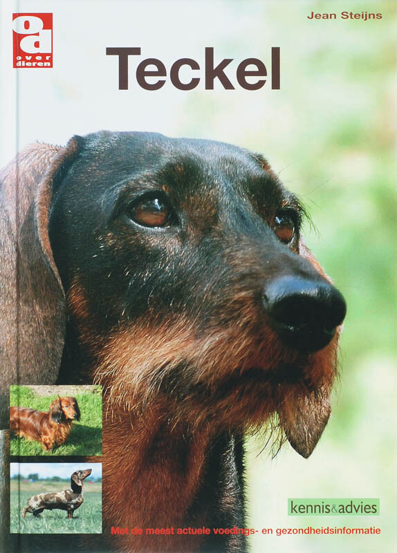 J. Steijns - Teckel / Over Dieren