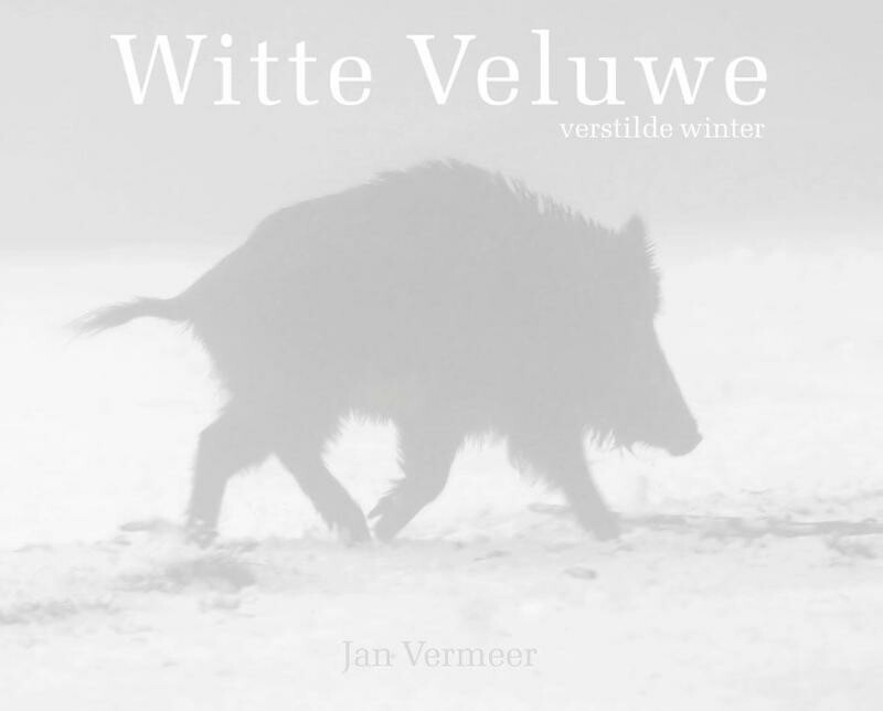 Jan Vermeer - Witte Veluwe