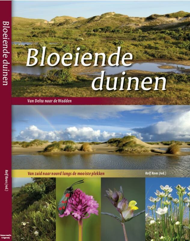 Rolf Roos - Bloeiende duinen